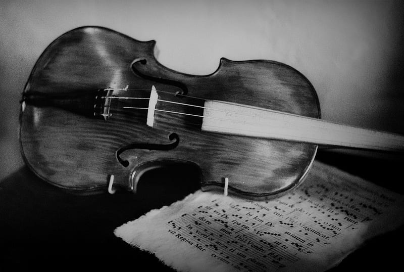 Wallpaper  photograph violinist black and white girl monochrome  photography violin family string instrument bowed string instrument  violist fiddle musician musical instrument smile portrait photography  music 2689x1862   886713  HD 