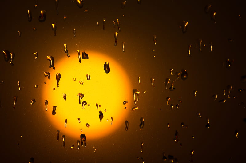 sun, drops, glass, glare, HD wallpaper