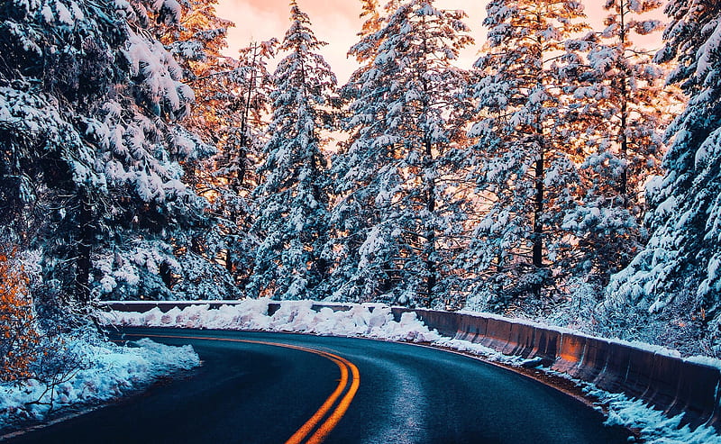 Winter Forest Road Ultra, Seasons, Winter, Travel, Trees, Forest, Road, Snow, HD wallpaper