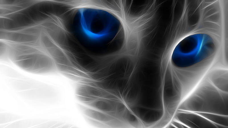 Artistic Animation Of Cat Face With Blue Eyes Cat, HD wallpaper