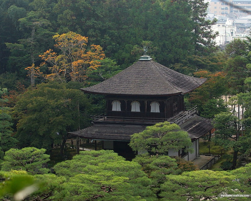 Japanese Garden, japanese, traditional, tea house, garden, bonito, greens, trees, HD wallpaper
