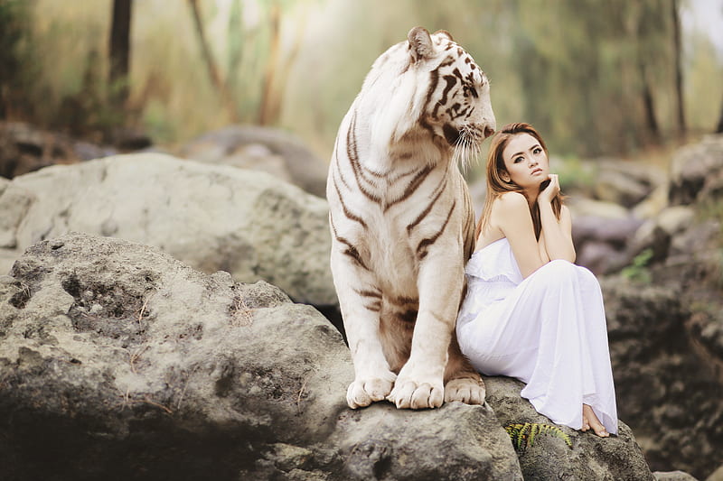 Girl With White Tiger , white-tiger, girl, tiger, graphy, HD wallpaper