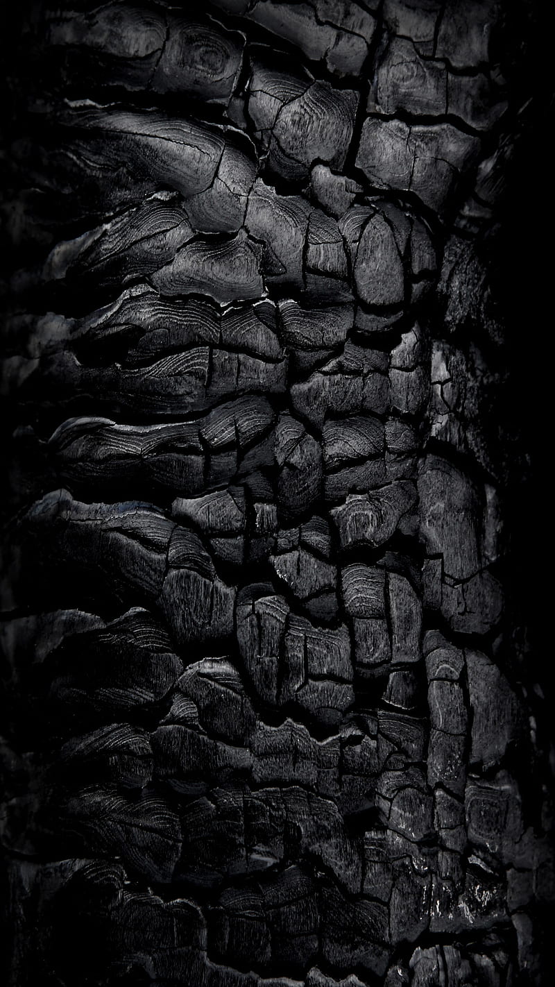 Coal Black, crisp, dark organic, power, sharp, wood, HD phone wallpaper