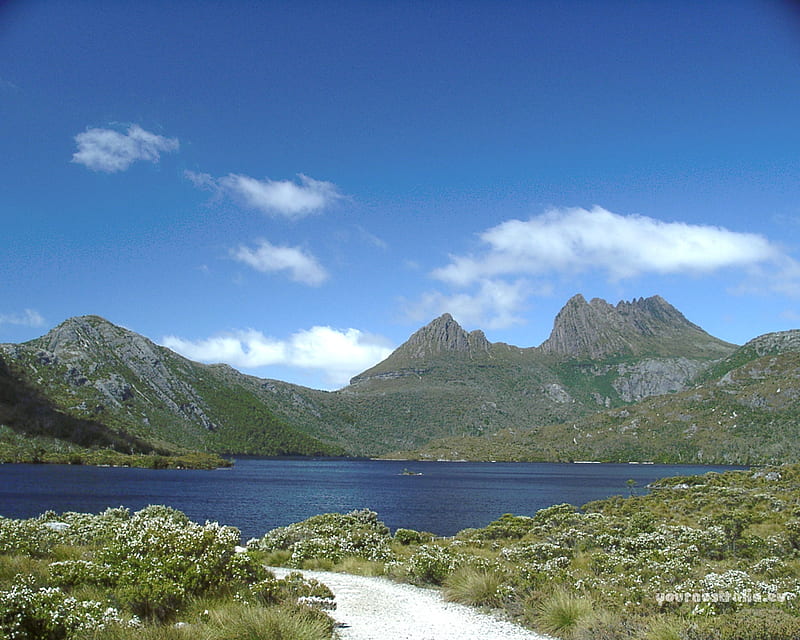 Cradle Mountain Tasmania, Australia, australia, tasmania, lake, cradle, HD wallpaper