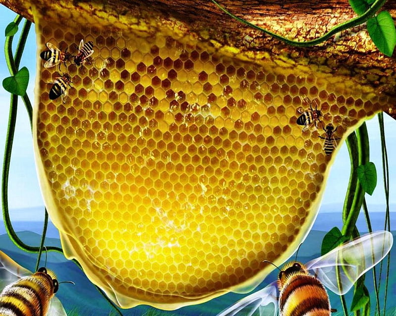 Mmmm Honey, Bees, Honey, nature, Painting, Art, animals, HD wallpaper