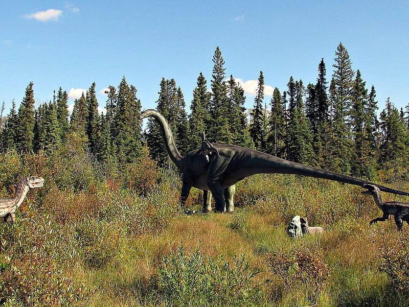 Apatosaurus (Animatronic), forest, attact, display, dinosaurs, HD wallpaper