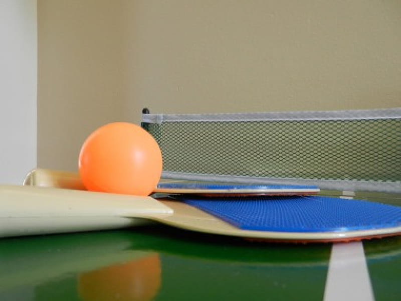 Ping Pong, net games, table tennis, esports, HD wallpaper