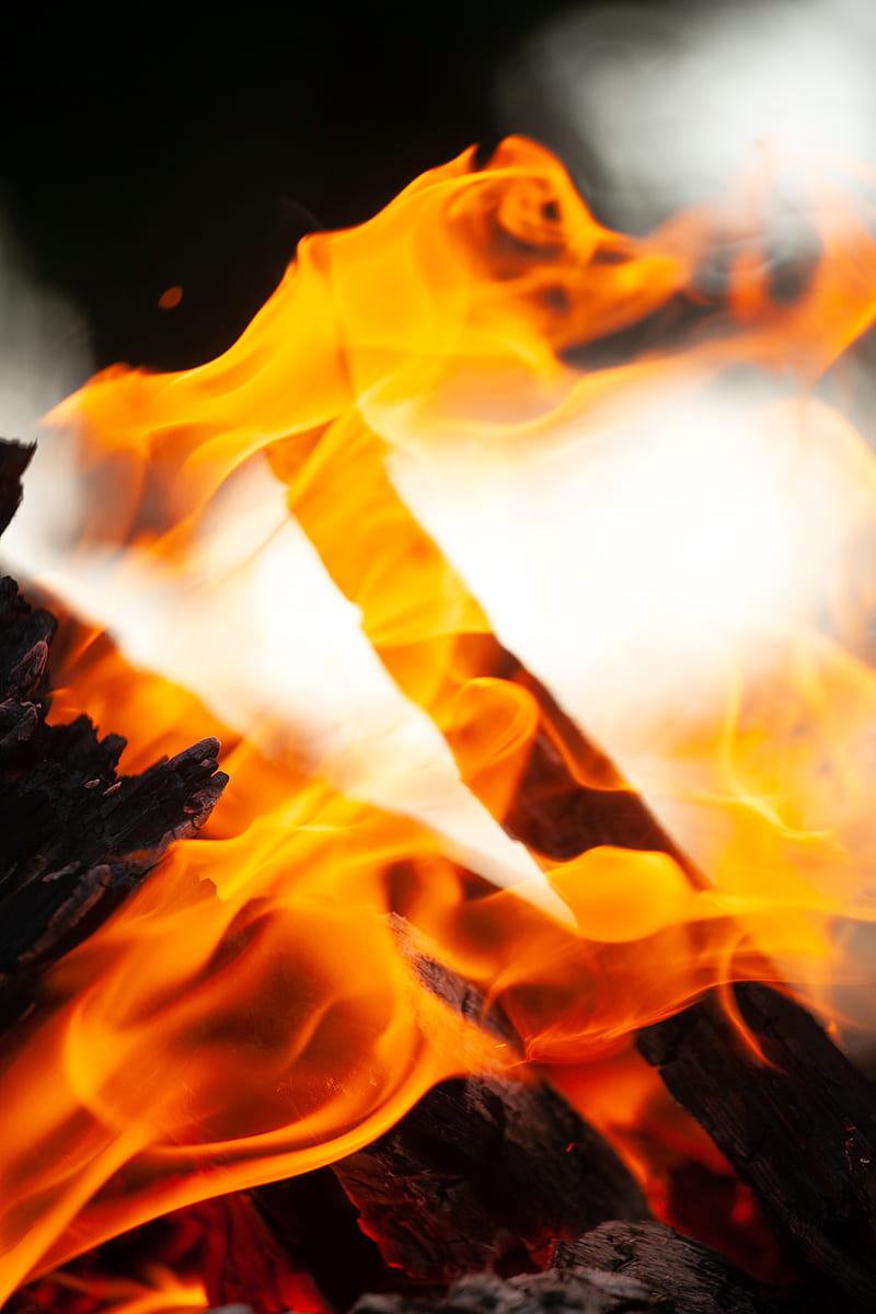 fire, flame, firewood, embers, ash, bonfire, HD phone wallpaper