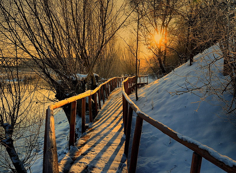 Way of Snow, panor guardrail, snowy, firs, sundown, nice, gold, multicolor, mounts, landscapes, path, paisage, declive, sunbeam, hills, guard-rail, gate, balustrade, winter, sunrays, snow, mountains, white, ambar, bonito, cold, amber, way, handrail, blue, windbreak, maroon, wall, paisagem, dark, nature, branches, banisters, orange, clouds, cenario, forests, sunrise, cena, golden, black, panorama, cool, rail, awesome, sunshine, landscape, fence, colorful, brown, gray, sunny, sunsets, trail, coldness, grove, amazing, multi-coloured, colors, colours, frozen, natural, HD wallpaper