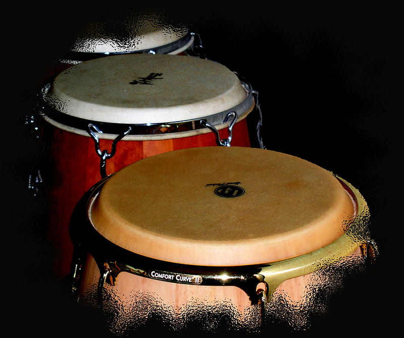 Congas, latin percussion, lp, conga, rumba, salsa, HD wallpaper