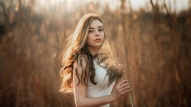 Girl Model Is Wearing White Dress Standing In Blur Corn Field Background Girls, HD wallpaper