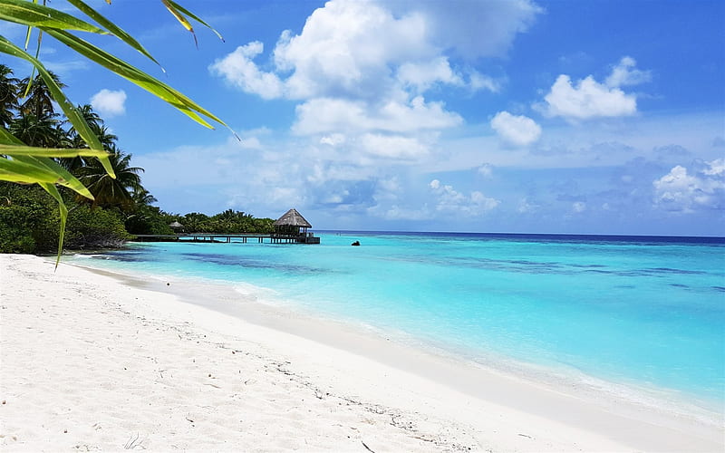 ocean, tropical island, vacation, travel, Мaldives, HD wallpaper