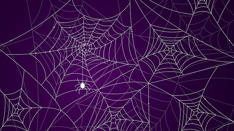 Spider webs, pattern, purple, halloween, texture, web, paper, spider, white, HD wallpaper