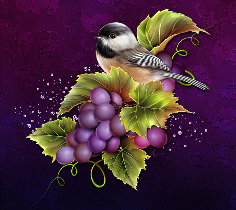 Vino Moonbeam1212, bird, desenho, fruit, grapes, HD wallpaper