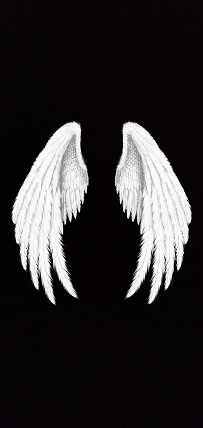 Harun elyasa , angel, kanat, wings, HD phone wallpaper