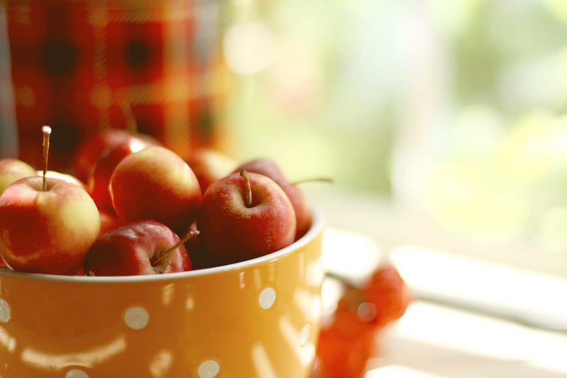 Apples, apple, fruit, autumn, window, fruits, bowl, HD wallpaper