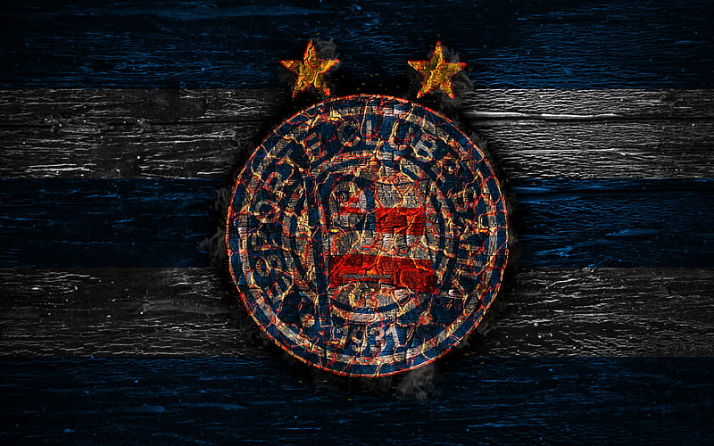 Bahia FC fire logo, Brazilian Serie A, football, grunge, brazilian football club, soccer, logo, EC Bahia, wooden texture, Salvador, smoldering tree, Brazil, FC Bahia, HD wallpaper