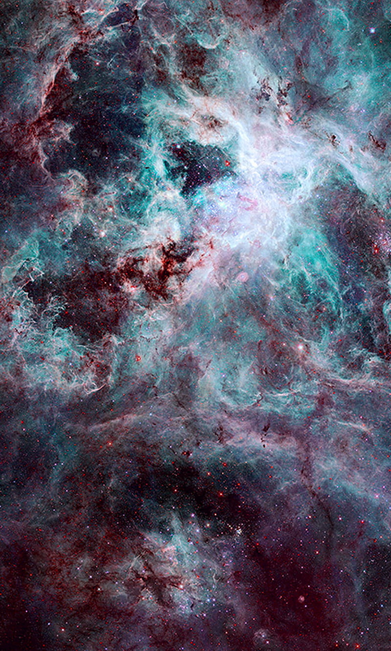 Tarantula Nebula, colorful, nebula, sky, tarantula, HD phone wallpaper