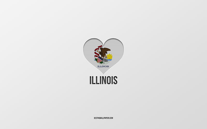 I Love Illinois, American States, gray background, Illinois State, USA, Illinois flag heart, favorite cities, Love Illinois, HD wallpaper