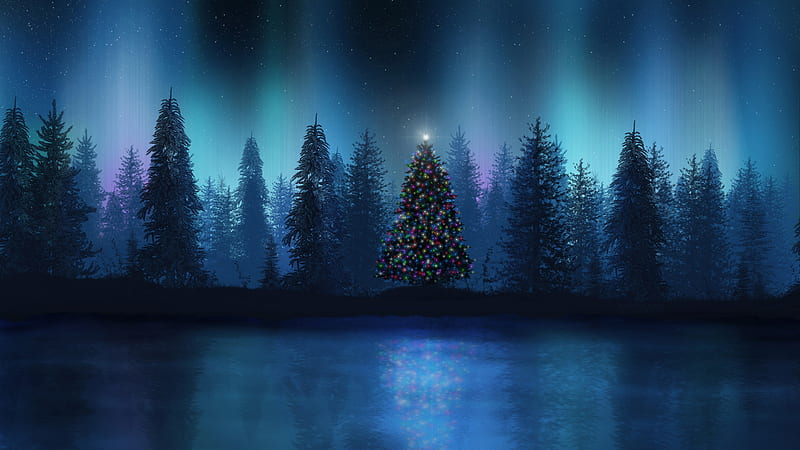 Christmas Tree And Lake During Night Winter Nature, HD wallpaper