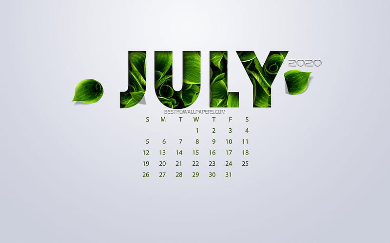 July 2020 Calendar, eco concept, green leaves, July, white background, 2020 spring calendar, 2020 concepts, 2020 July Calendar, HD wallpaper