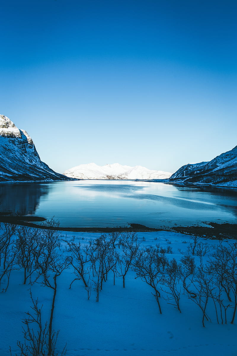 lake, snow, mountains, sky, trees, coast, winter, HD phone wallpaper