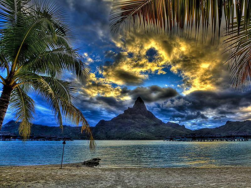 Another Place - Another Time, beach, nature, fronds, clouds, sky, palm trees, HD wallpaper
