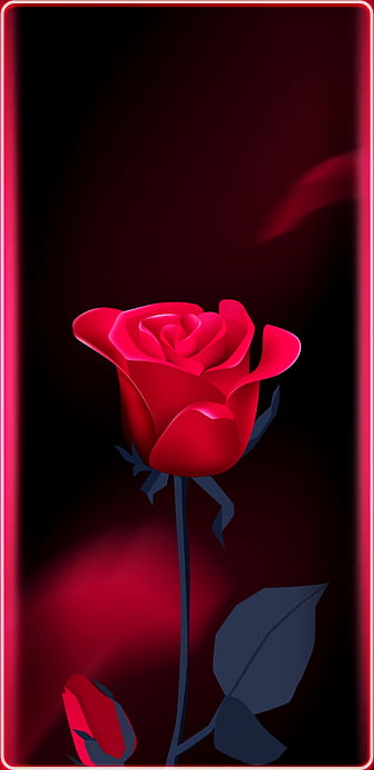PerfectRose, bonito, flower, flowers, glow, love, pretty, red, rose, roses, HD phone wallpaper