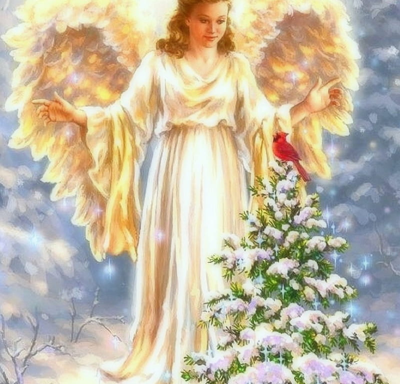 Christmas Angel, Christmas, holidays, New Year, love four seasons, christmas trees, angels, xmas and new year, winter, paintings, snow, weird things people wear, cardinal, HD wallpaper