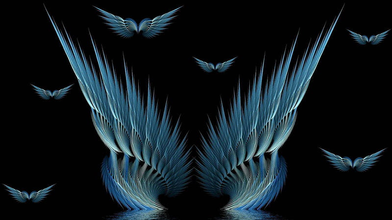 Open Wing Birds In Black Background Aquarius, HD wallpaper