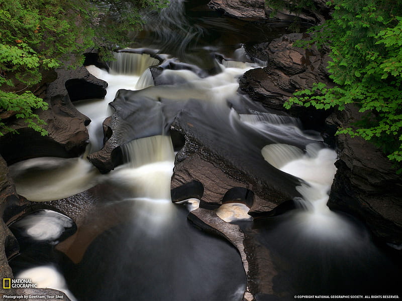 Running Water, stream, rocks, water, flowing, nature, river, creek, trees, HD wallpaper