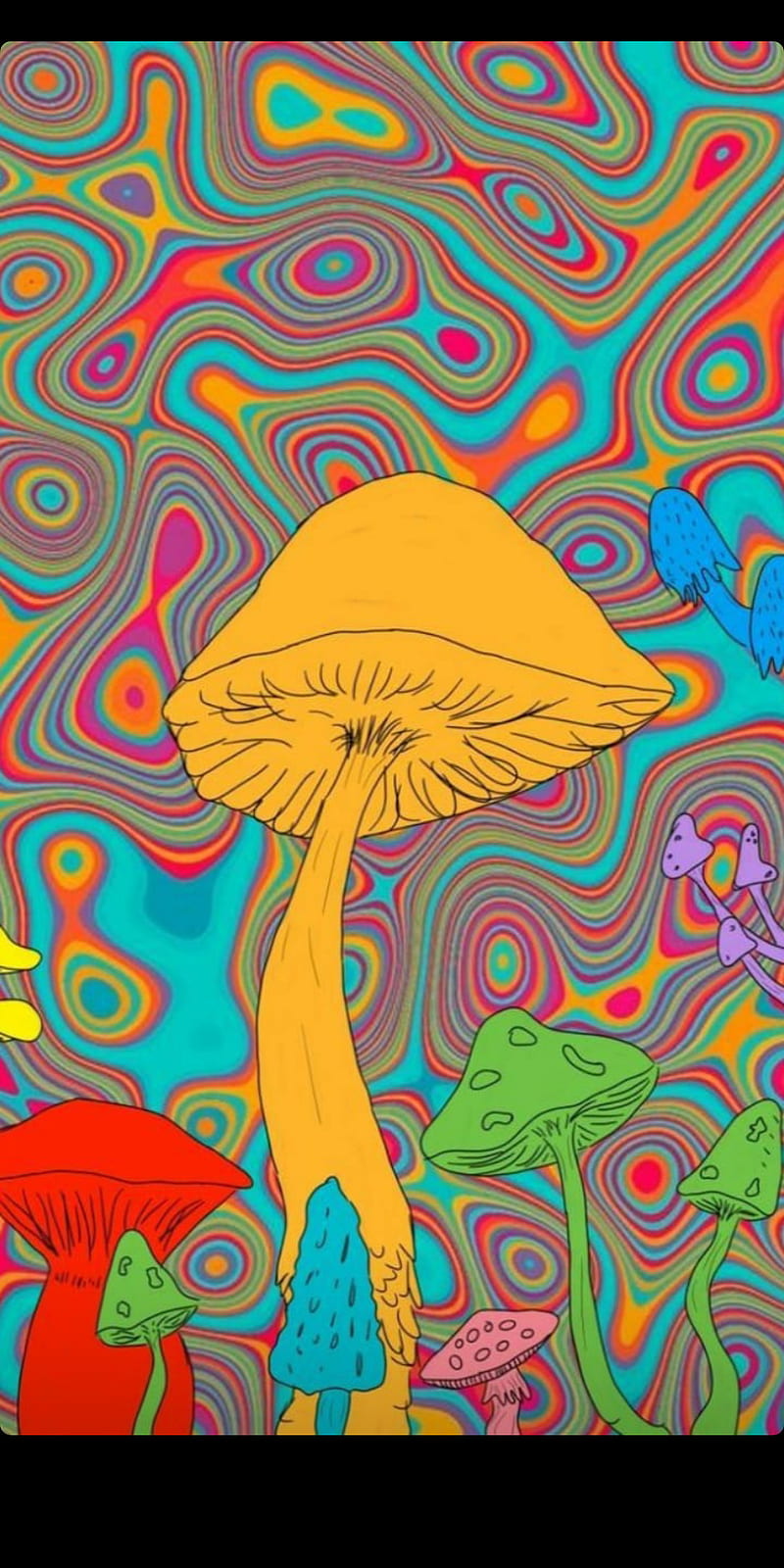Mushroom, color pop, mushroom vivid acid, HD phone wallpaper