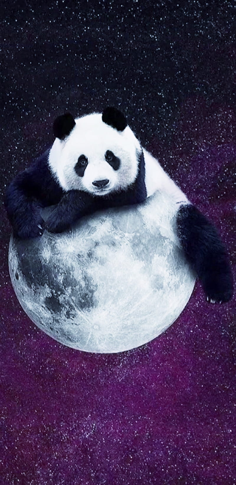 PandaMoon, animal, bear, cute, galaxy, moon, panda, HD phone wallpaper