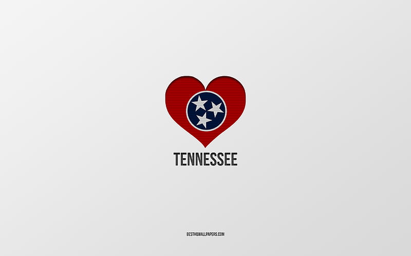 I Love Tennessee, American States, gray background, Tennessee State, USA, Tennessee flag heart, favorite States, Love Tennessee, HD wallpaper