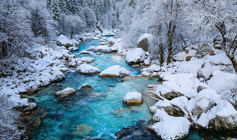 Cold Winter Morning, crystal clear water, forest, bonito, winter, stones, snow, river, white, blue, HD wallpaper