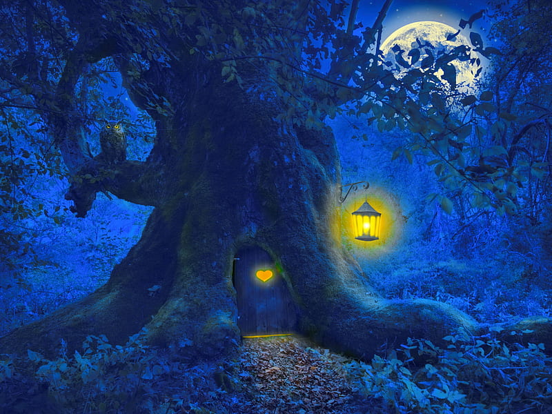 Buenas noches en el bosque, bueno, fantástico, cuento de hadas, magia, noche,  Fondo de pantalla HD | Peakpx