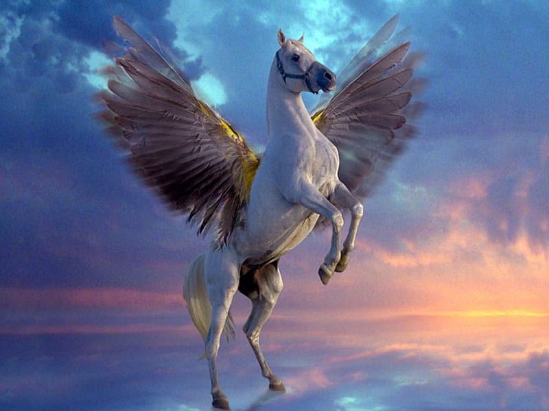 a pega of the sky, fantasy, pegasus, wings, winged, horse, other, HD wallpaper