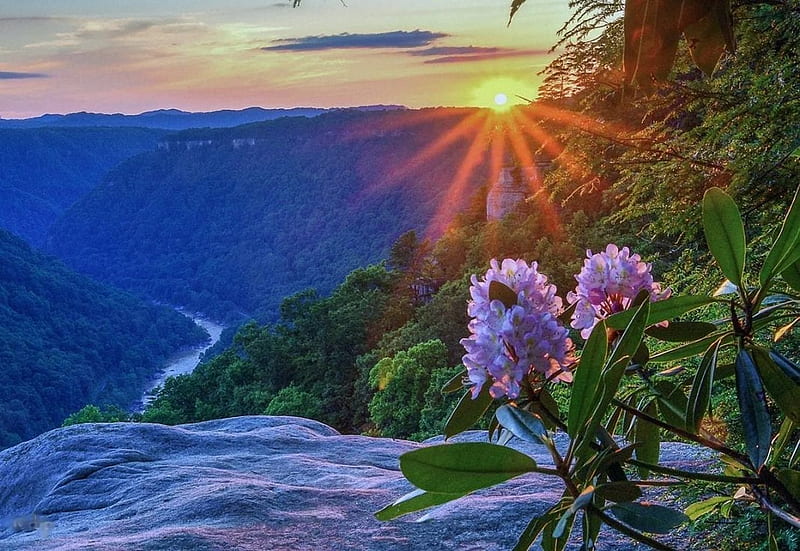 Rhododendron, West Virginia, sunset, sun, sky, mountains, rocks, HD wallpaper