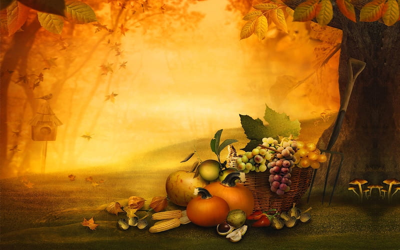 Lucious Fall Harvest, fall, fruit, harvest, digtial art, pumpkin ...