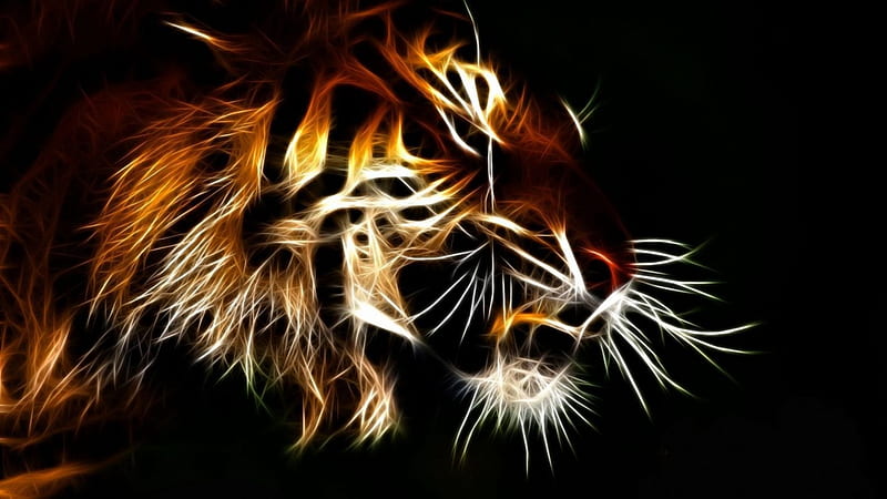 translucent tiger, in, dark, colored, shady, lines, HD wallpaper