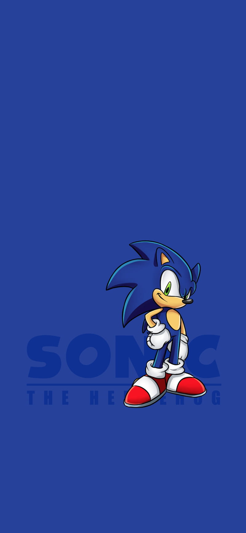 Sonic, anime, azules, dibujos animados, erizo, velocidad, Fondo de pantalla  de teléfono HD | Peakpx