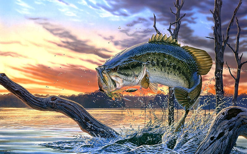 largemouth bass, largemouth, water, bass, fish, HD wallpaper
