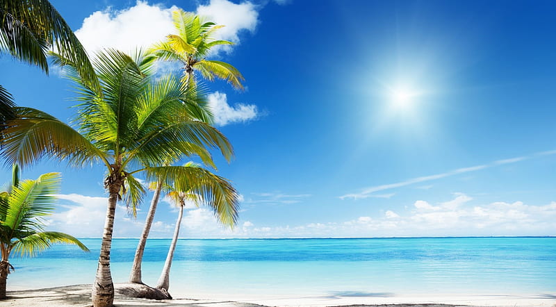 Tropical beach paradise, shore, seashore, summer, nature, tropical, landscape, scene, holiday, beach, HD wallpaper