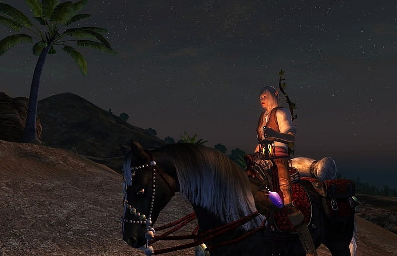 'Midnight ride'....., desert, horse, girl, night, HD wallpaper