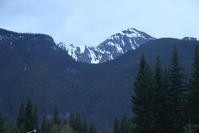 Summit Banff mountains in Alberta, summit, graphy, snow, mountains, trees, HD wallpaper