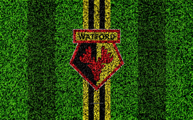 Watford f.c. lwn tottenham hotspur f.c.
