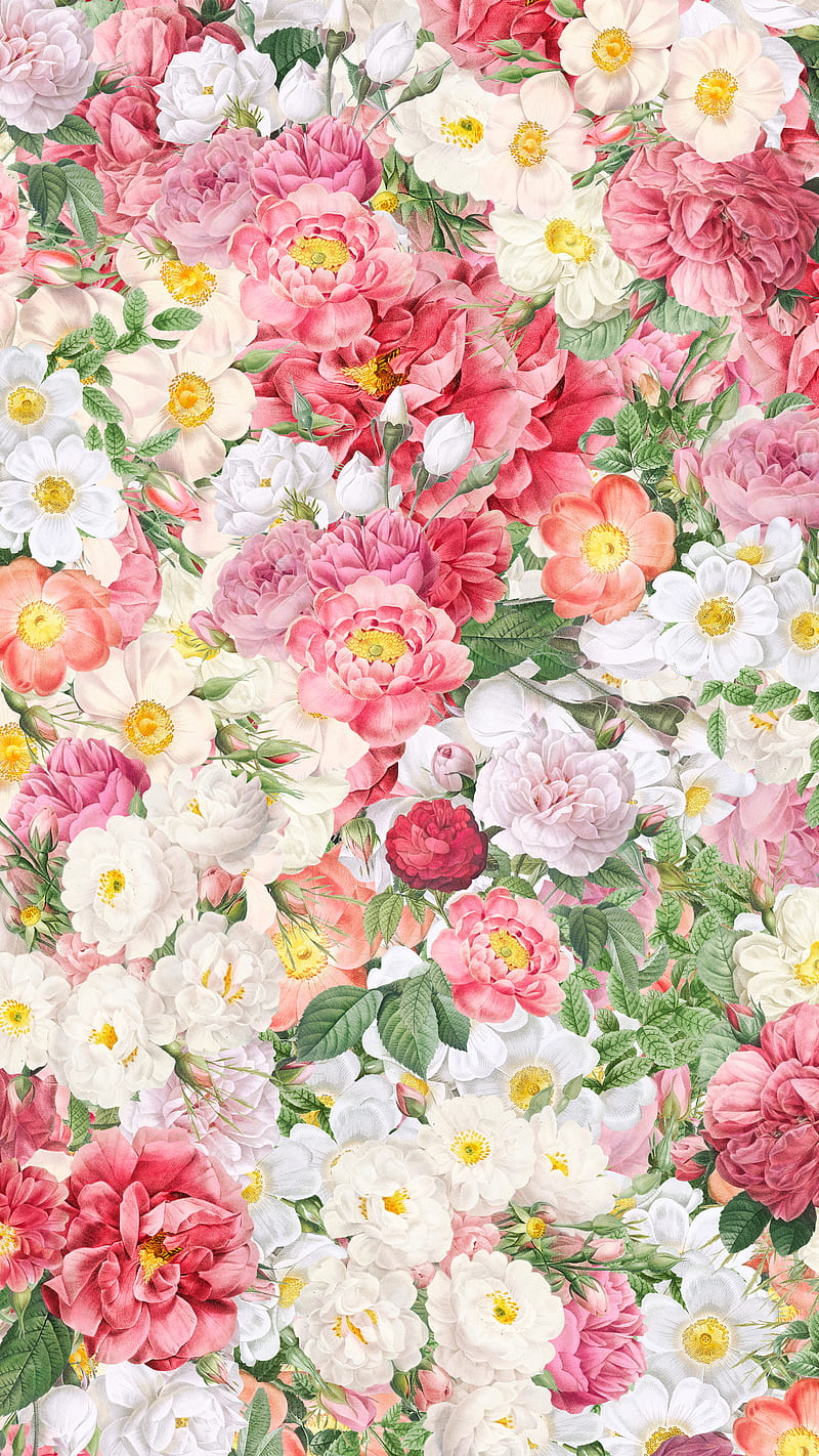Roses & Peonies, botanical, flora, floral, flowers, illustration, peonies, roses, spring, summer, vintage, HD phone wallpaper
