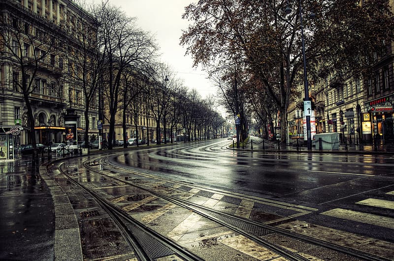Winter, Rain, City, , Place, Vienna, HD wallpaper