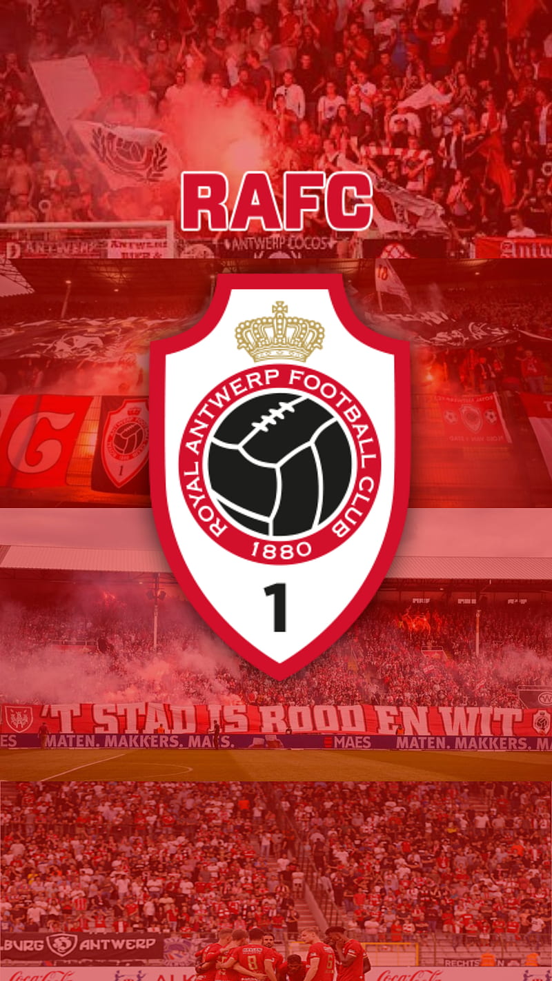 Antwerp achtergrond, football, logo, rafc, supporters, HD phone wallpaper
