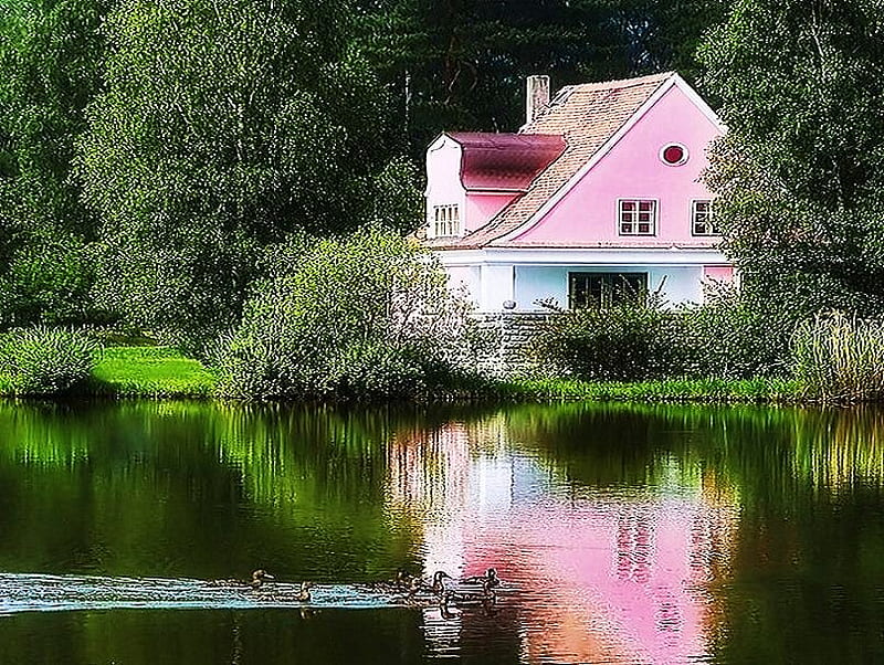 Pink house by the lake, house, birds, two story, trees, pink and white, bushes, lake, calm, green, reflection, HD wallpaper
